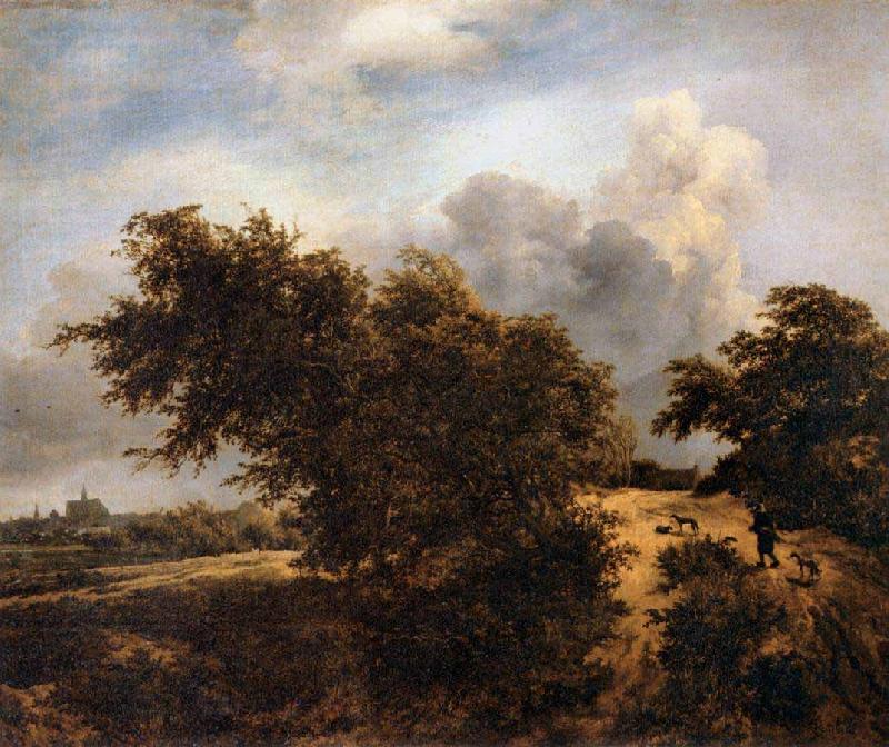 RUISDAEL, Jacob Isaackszon van The Thicket oil painting image